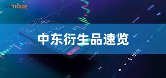 中东衍生品速览