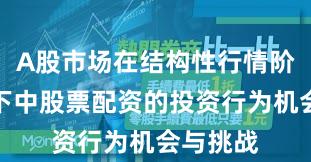 A股市场在结构性行情阶段背景下中股票配资的投资行为机会与挑战